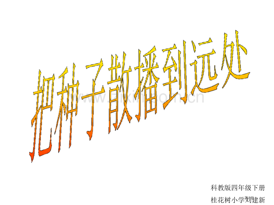 小学科学把种子散播到远处省公共课一等奖全国赛课获奖课件.pptx_第1页