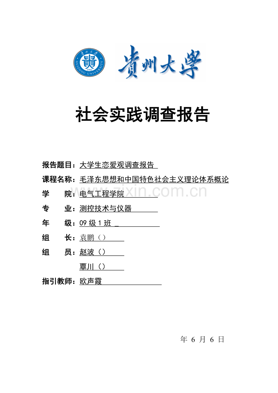 大学生恋爱观实践调查汇总报告.docx_第1页