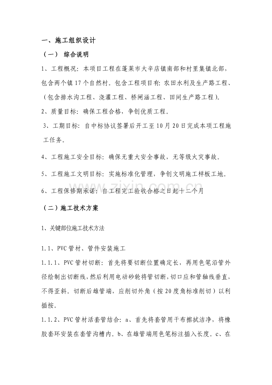 关键技术标书模板.doc_第3页