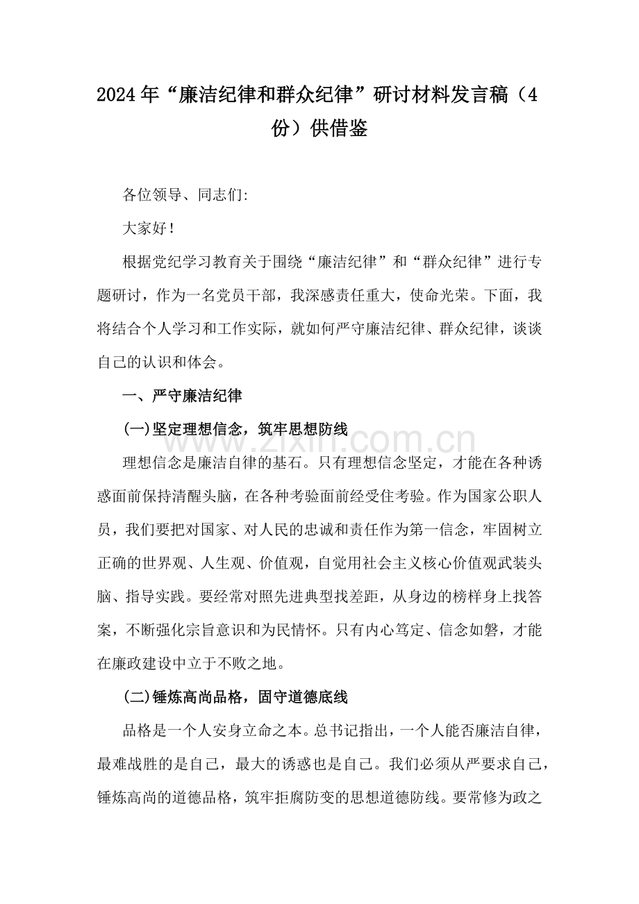 2024年“廉洁纪律和群众纪律”研讨材料发言稿（4份）供借鉴.docx_第1页