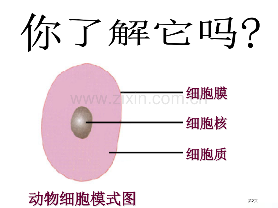 七年级生物上册第二单元第一章第四节细胞的生活第一课时PPT市公开课一等奖百校联赛特等奖大赛微课金奖P.pptx_第2页