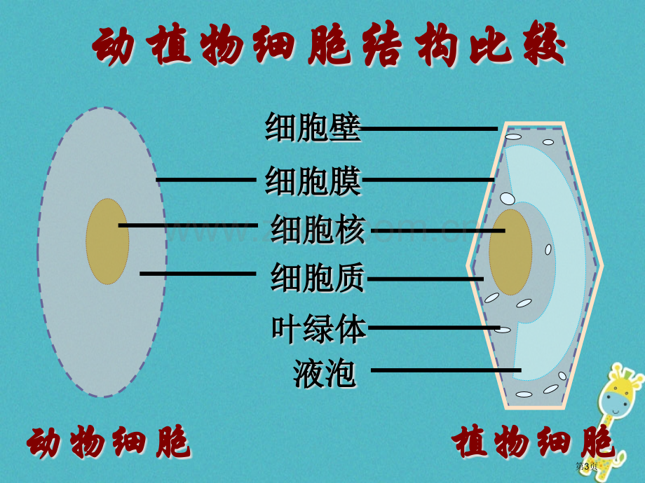 七年级生物上册第二单元第一章第四节细胞的生活第一课时PPT市公开课一等奖百校联赛特等奖大赛微课金奖P.pptx_第3页