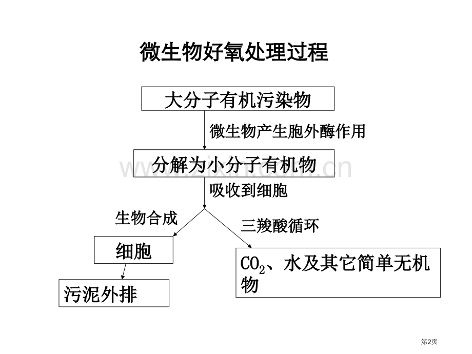 好氧生物处理技术图文省公共课一等奖全国赛课获奖课件.pptx_第2页