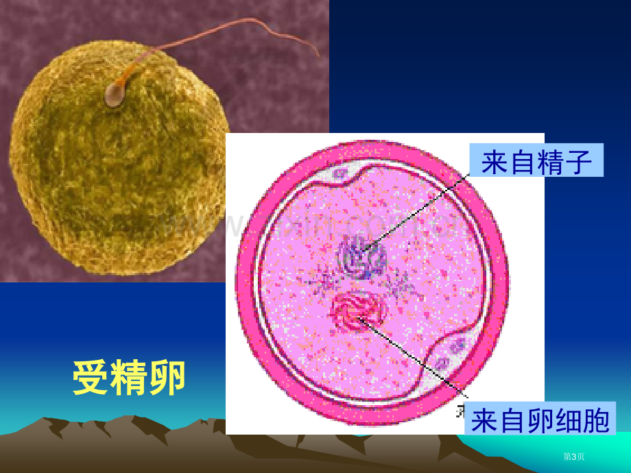 人教版教学8动物细胞融合与单克隆抗体省公共课一等奖全国赛课获奖课件.pptx_第3页