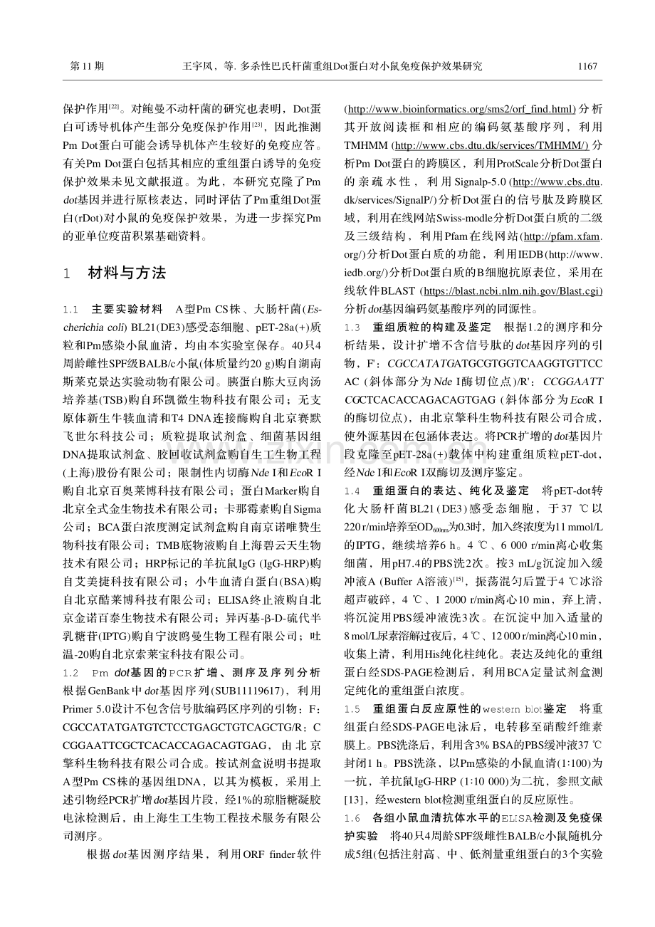 多杀性巴氏杆菌重组Dot蛋白对小鼠免疫保护效果研究.pdf_第3页