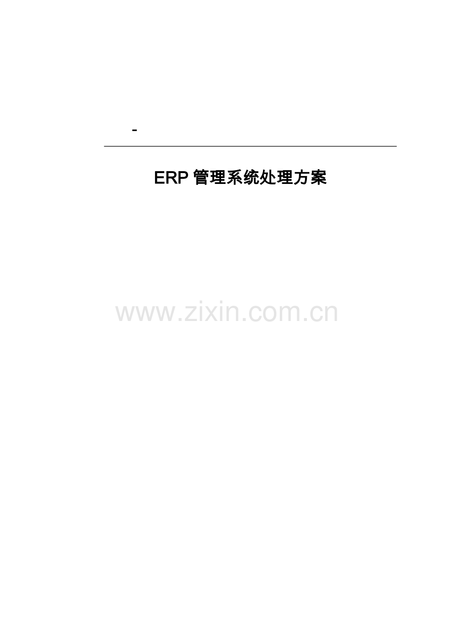 ERP解决专项方案.doc_第1页