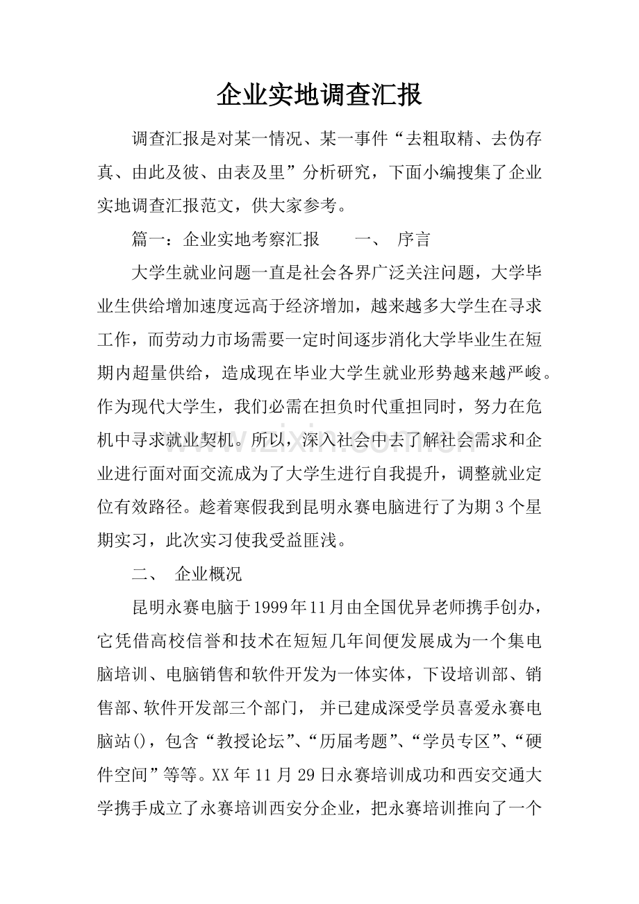 企业实地调查分析报告.docx_第1页