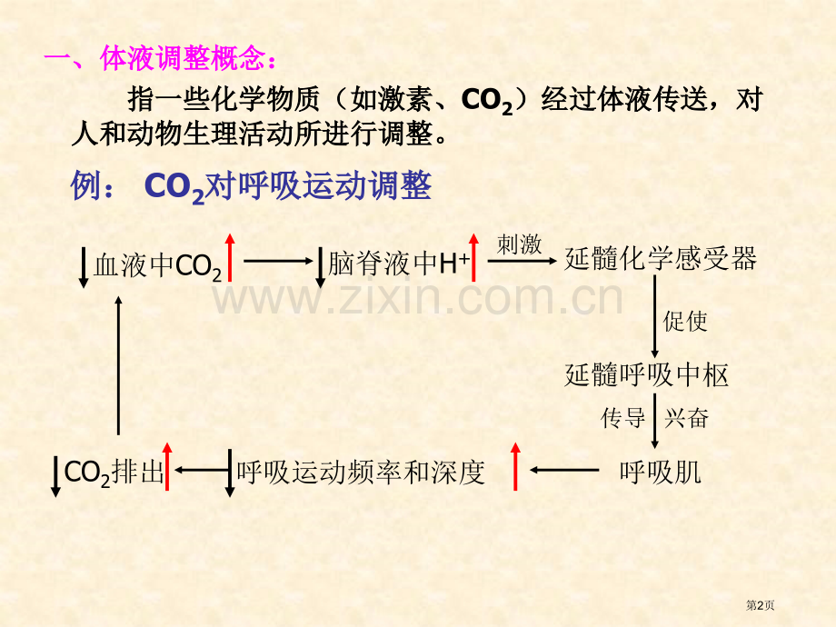 人教版教学陕西省山阳县色河中学高二生物体液调节省公共课一等奖全国赛课获奖课件.pptx_第2页