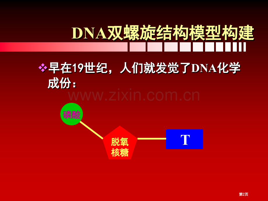 必修二生物DNA的复制省公共课一等奖全国赛课获奖课件.pptx_第2页