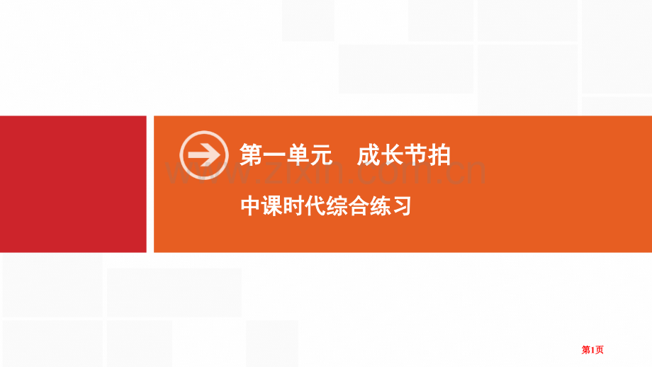 成长的节拍中学时代综合练习省公开课一等奖新名师比赛一等奖课件.pptx_第1页