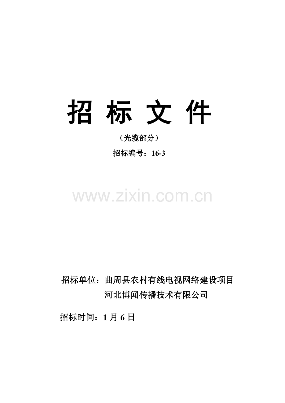 农村有线电视网络建设专项项目优秀标书.docx_第1页