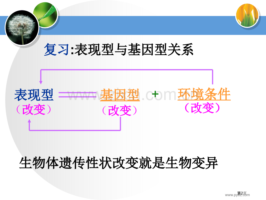 人教版教学基因突变和基因重组省公共课一等奖全国赛课获奖课件.pptx_第2页