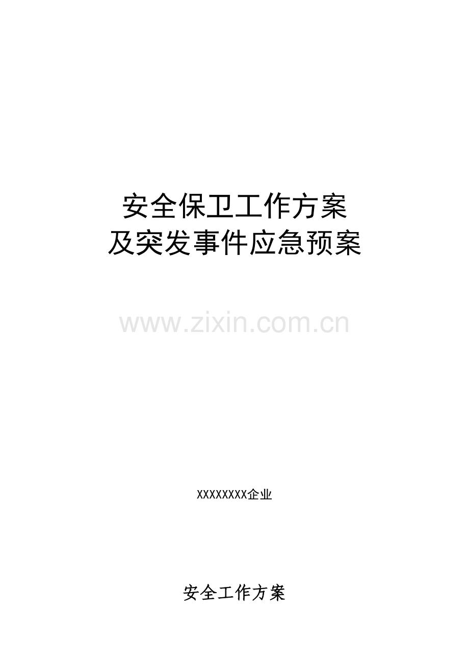 大型活动安保专项方案模板.docx_第1页