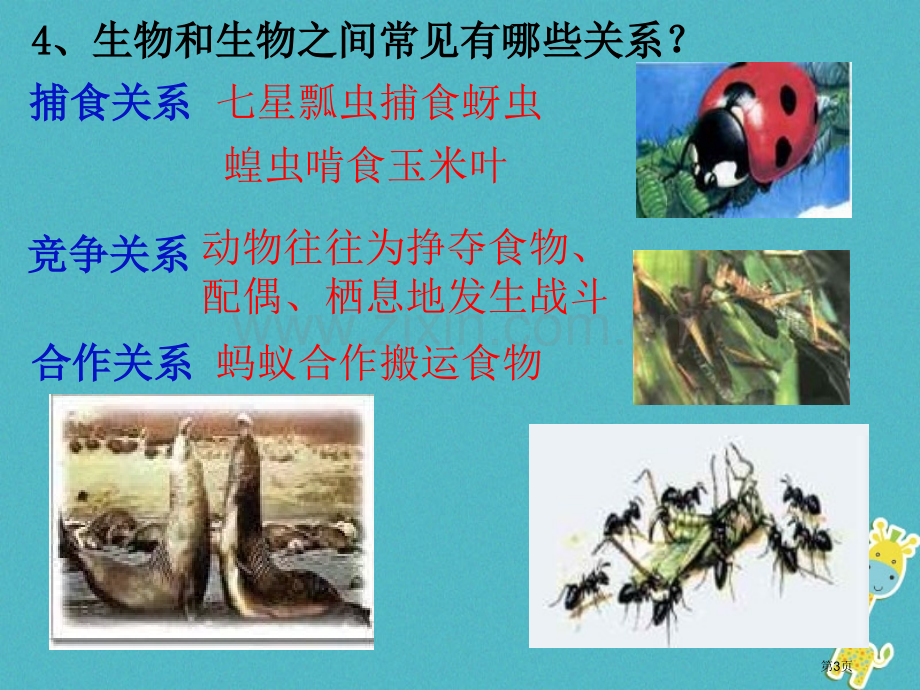 七年级生物上册1.2.1生物与环境的关系第三课时市公开课一等奖百校联赛特等奖大赛微课金奖PPT课件.pptx_第3页