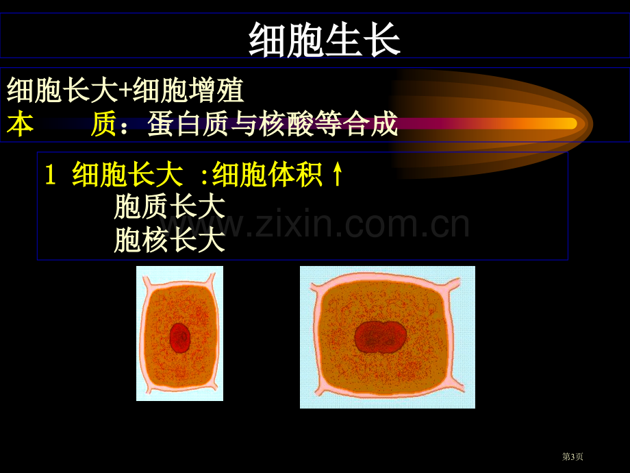 发育生物学第四周省公共课一等奖全国赛课获奖课件.pptx_第3页