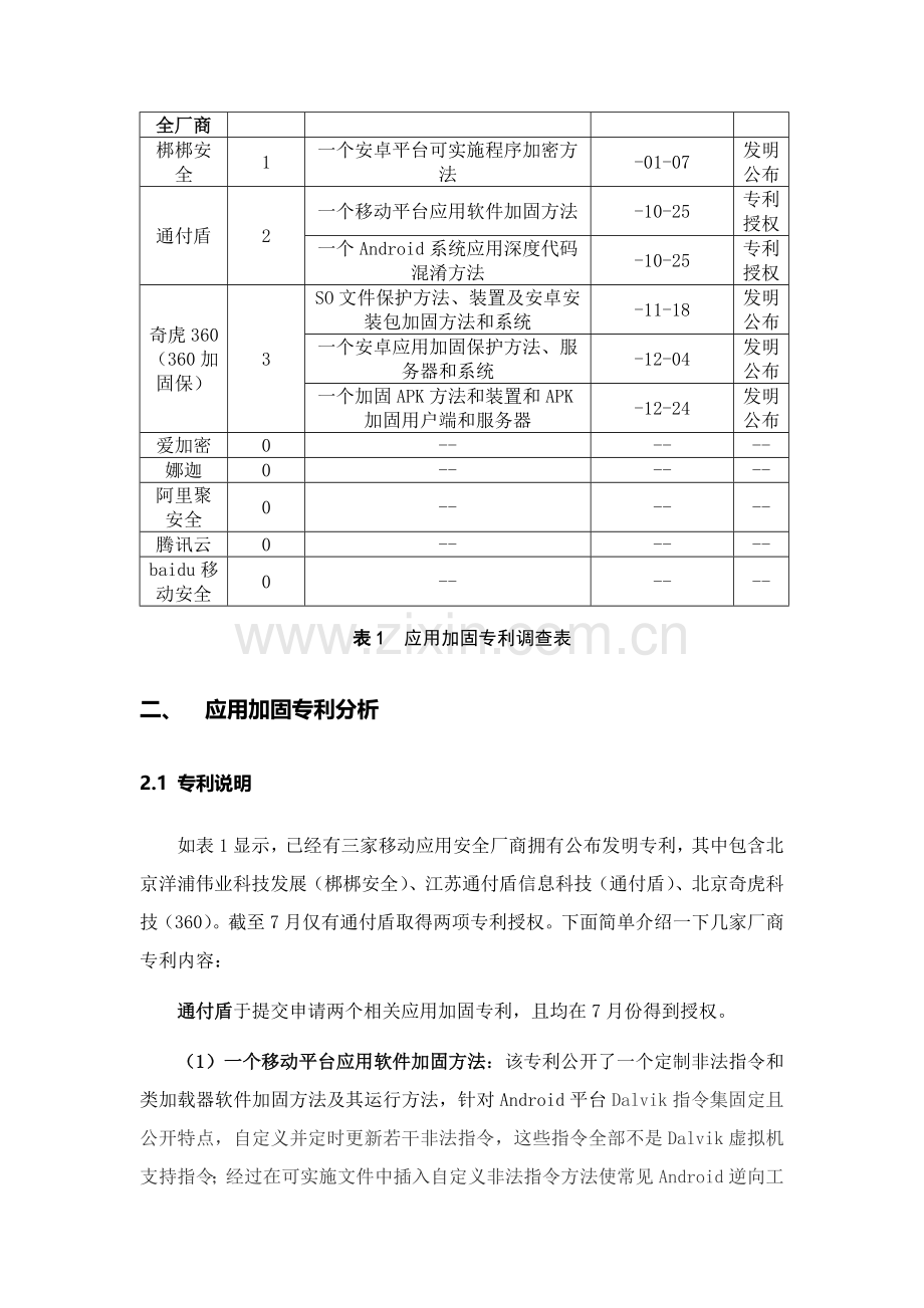 国内应用加固专利调查分析报告.docx_第3页