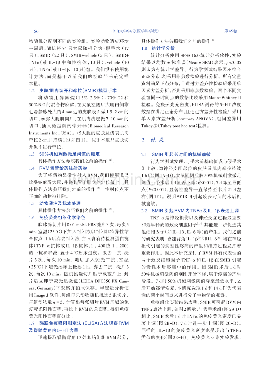 RVM致炎细胞因子上调导致5-HT释放参与调控慢性术后疼痛.pdf_第3页