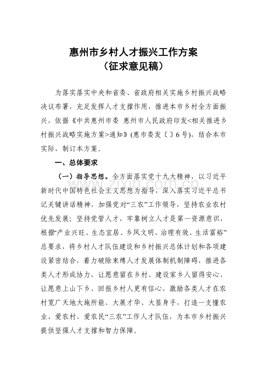 惠州乡村人才振兴工作专业方案.doc_第1页