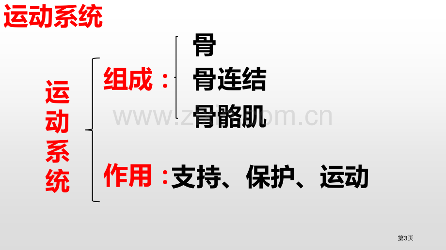 动物运动的形成省公开课一等奖新名师比赛一等奖课件.pptx_第3页