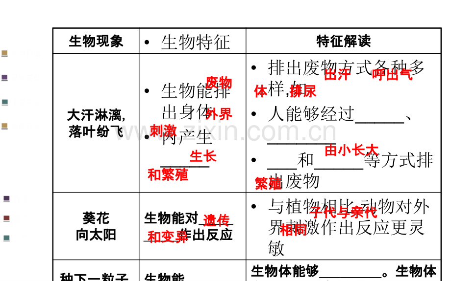 生物和生物圈复习市公开课一等奖百校联赛获奖课件.pptx_第3页