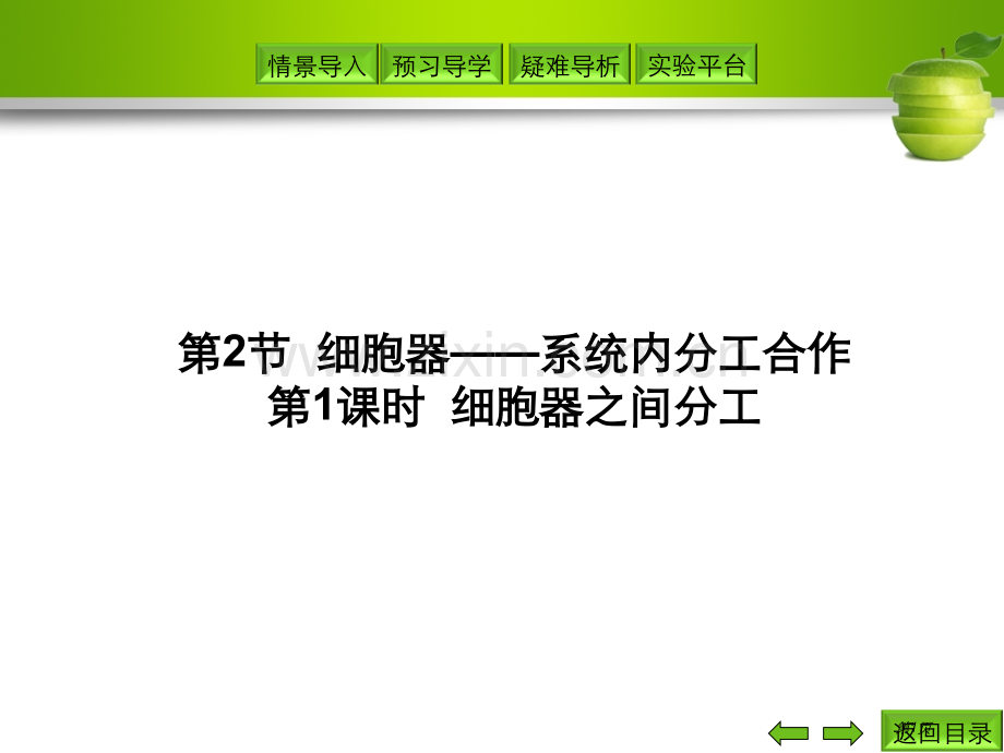 人教版教学细胞器之间的分工省公共课一等奖全国赛课获奖课件.pptx_第1页