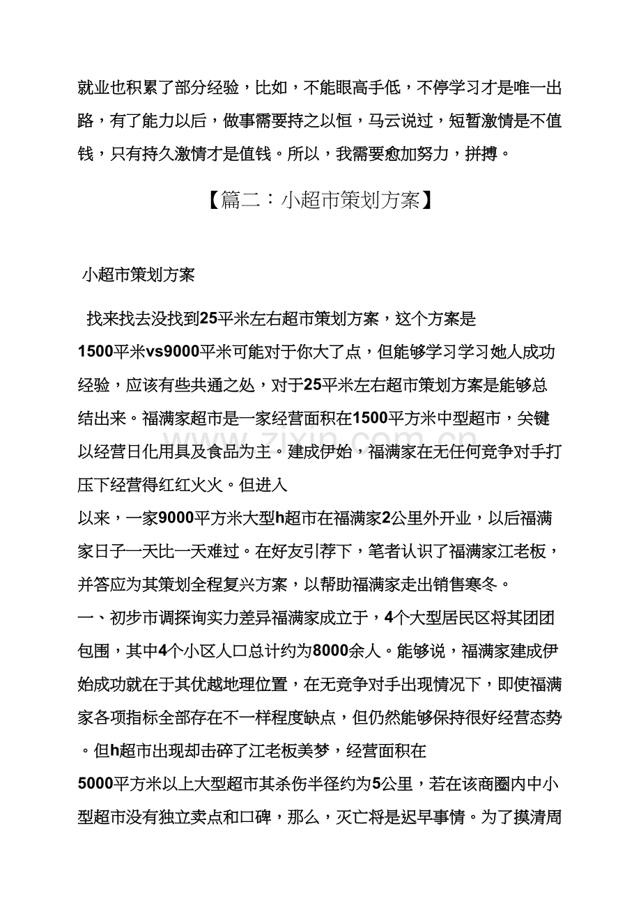 小超市活动专业策划专项方案.docx_第3页