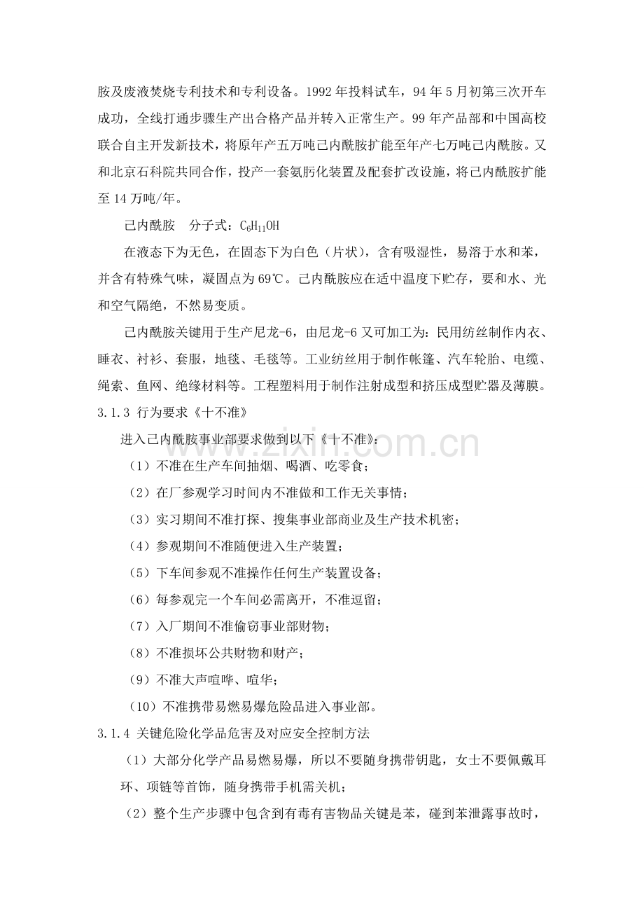 己内酰胺合成工艺实习报告模板.doc_第3页