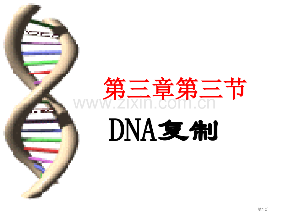 人教版教学必修2DNA的复制省公共课一等奖全国赛课获奖课件.pptx_第1页