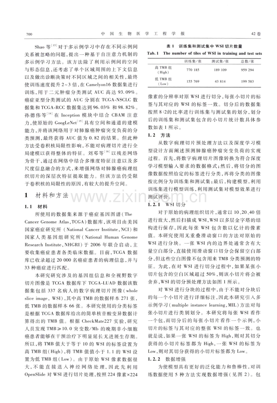 基于病理组织切片的肺腺癌肿瘤突变负荷预测模型.pdf_第3页