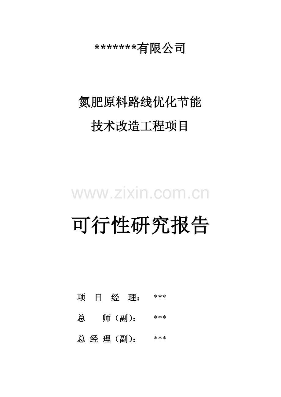 氮肥原料路线优化节能技术改造工程项目可行性研究报告.doc_第3页