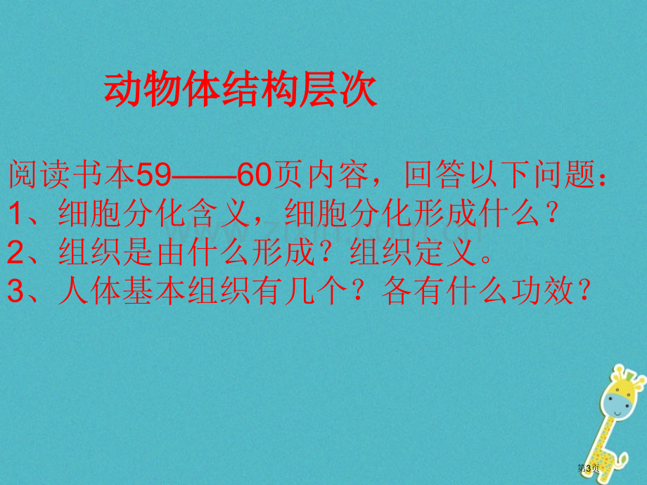 七年级生物上册2.2.2动物体的结构层次讲义1市公开课一等奖百校联赛特等奖大赛微课金奖PPT课件.pptx_第3页