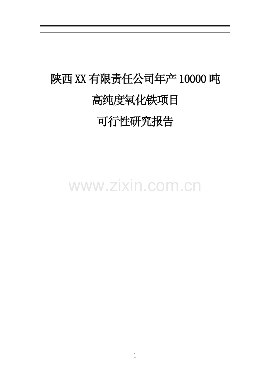 年产10000吨高纯度氧化铁可行性研究报告(p95页)优秀可行性研究报告.doc_第1页