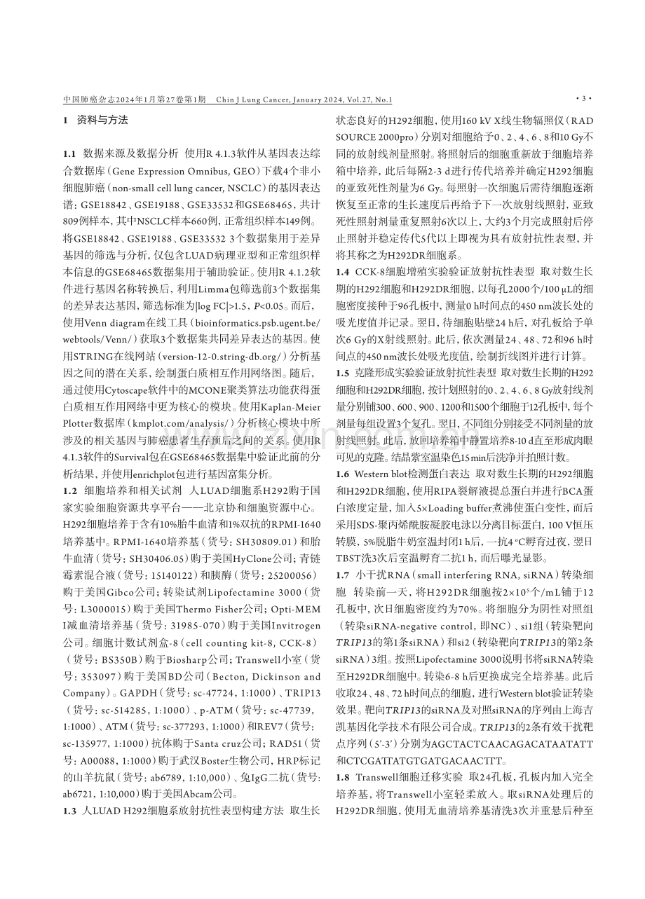 TRIP13通过同源重组通路提高肺腺癌细胞的放射抗性.pdf_第3页