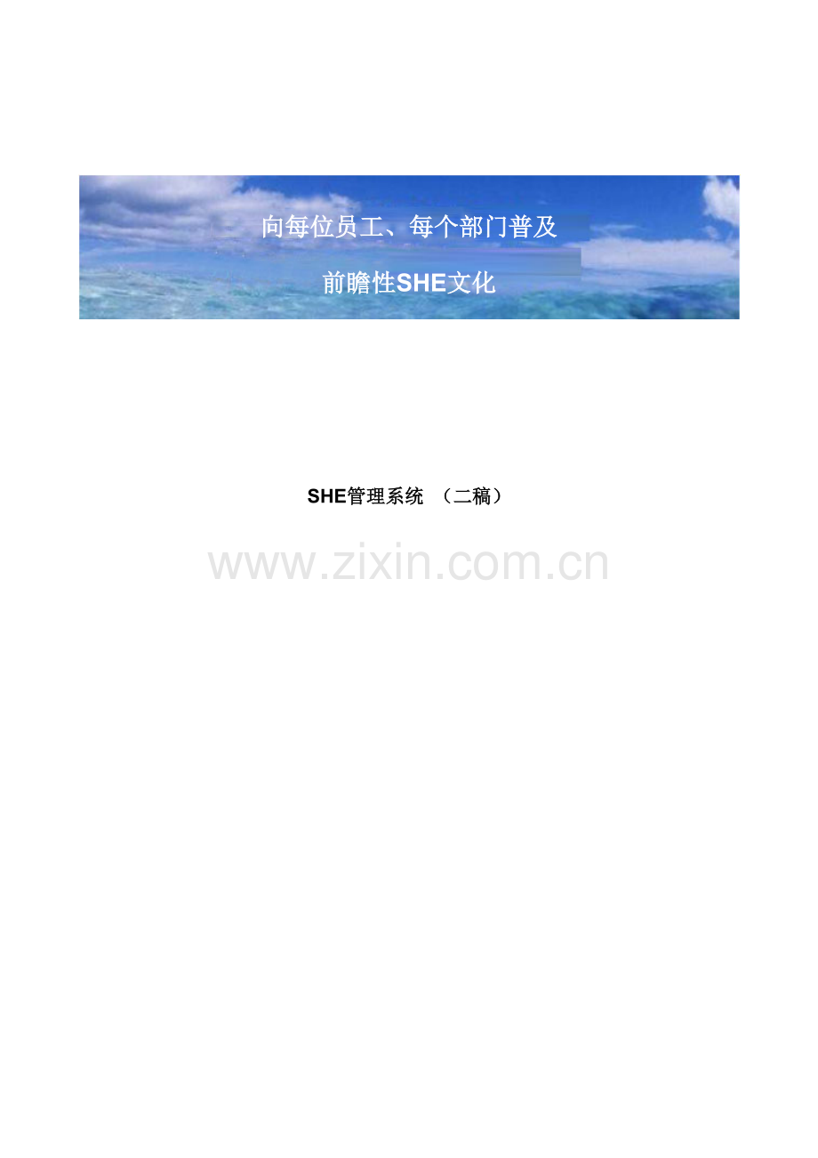 SHE标准管理系统专业资料.doc_第1页