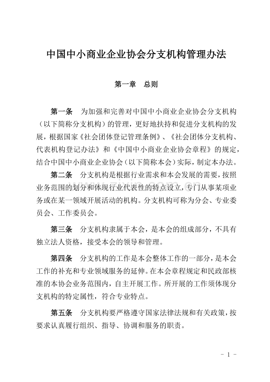 协会分支机构管理办法修订稿.docx_第1页