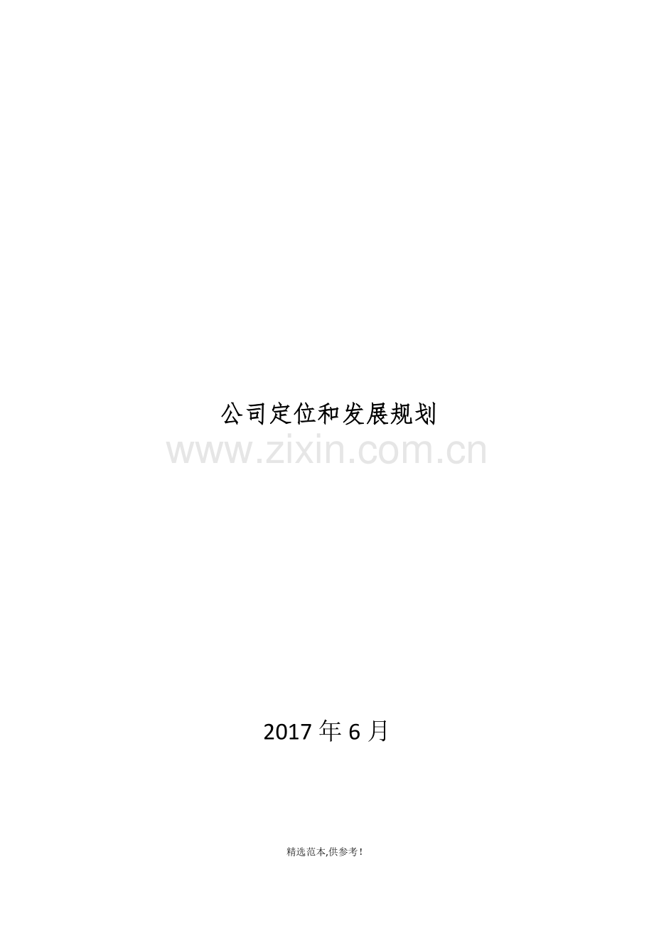 公司定位和发展规划.doc_第1页