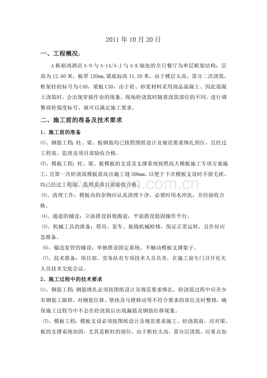 砼浇筑专项施工方案.doc_第2页