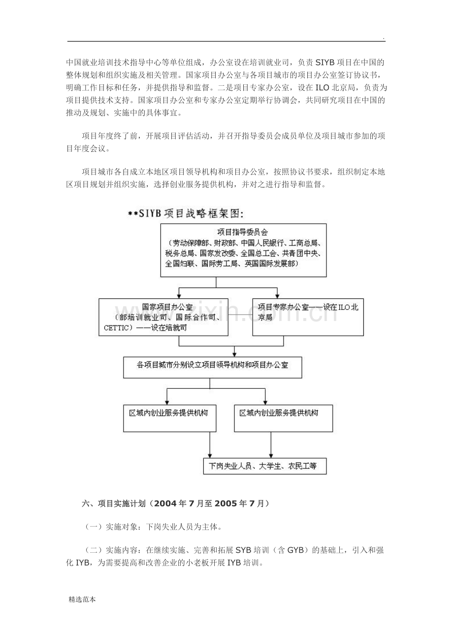 项目实施计划和战略规划.doc_第3页