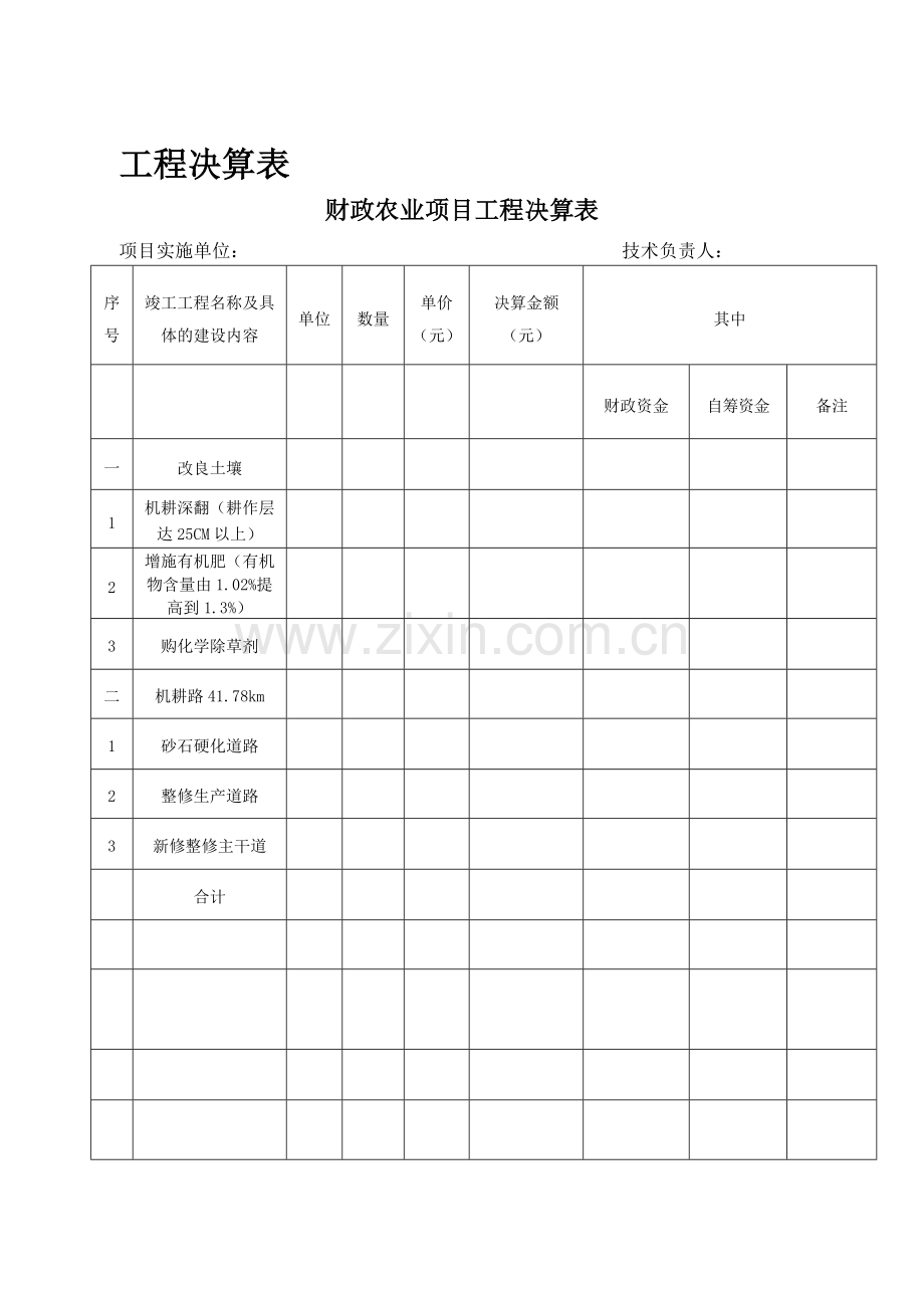 农业综合开发项目工程决算表.doc_第1页