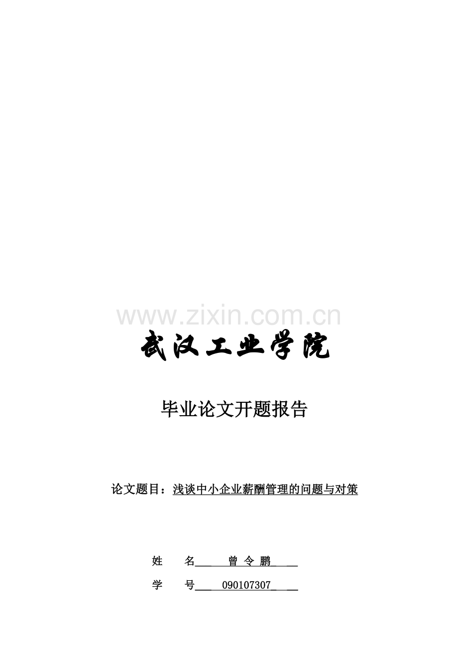 中小企业薪酬管理中的问题与对策毕业论文开题报告.doc_第1页