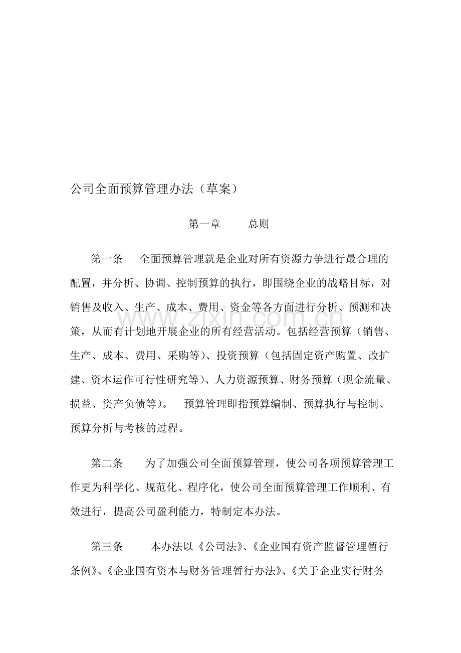 全面预算管理办法集团公司使用).doc_第1页