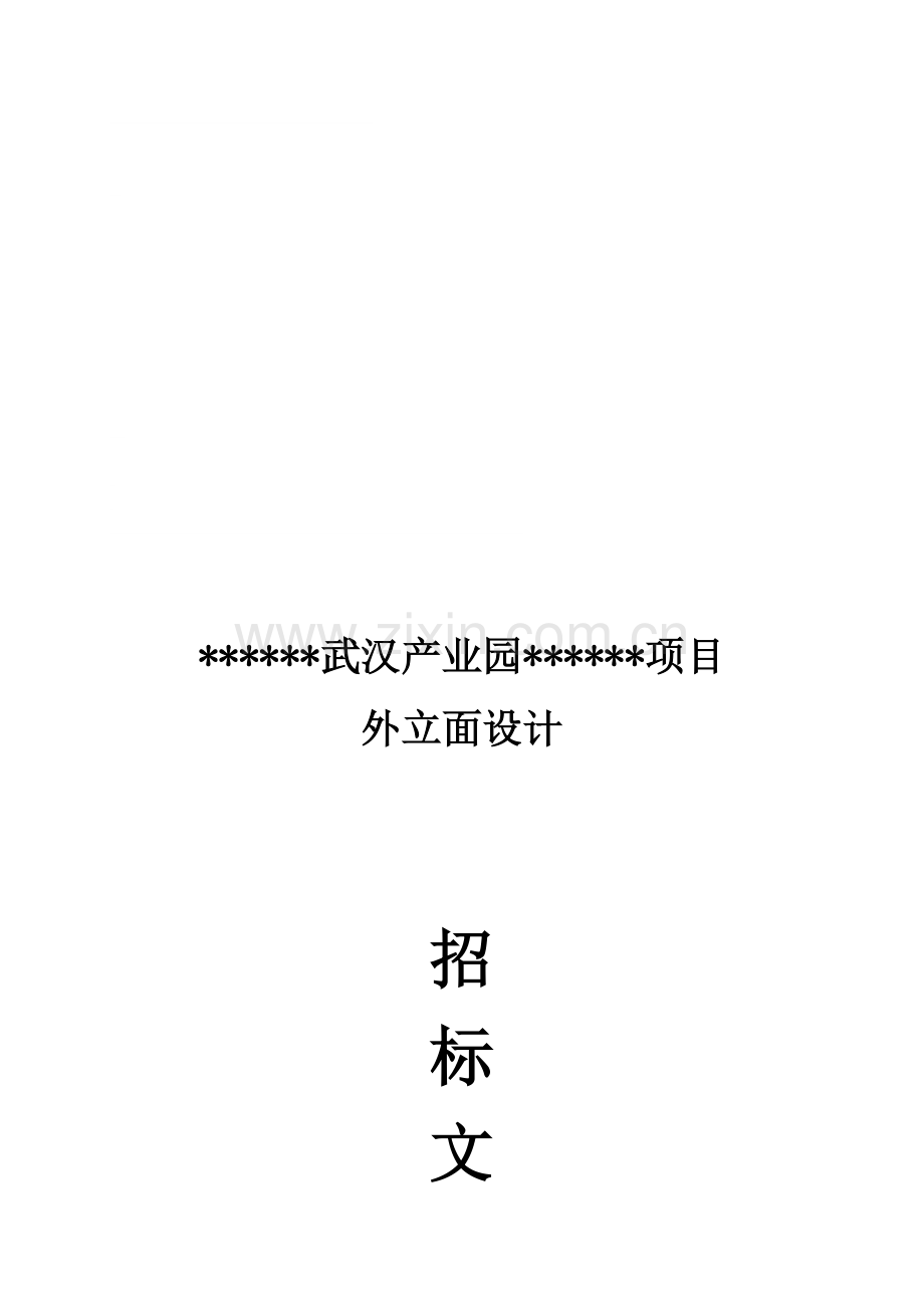 最的设计招标文件(发标版).doc_第1页