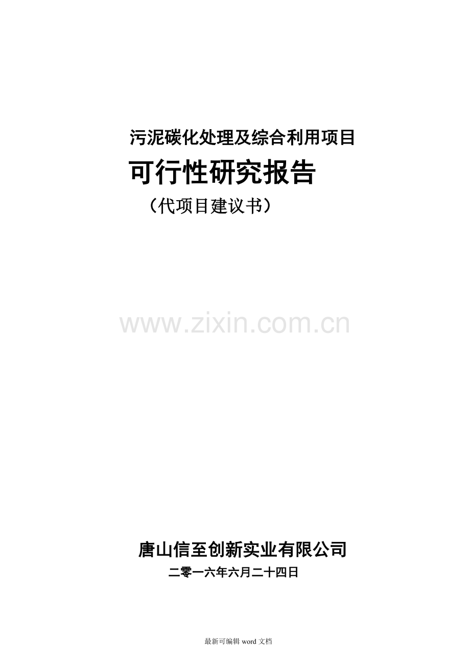 污泥碳化处理及综合利用项目可行性研究报告.doc_第1页