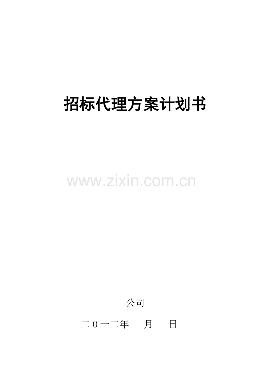 代理方案计划书.doc_第1页