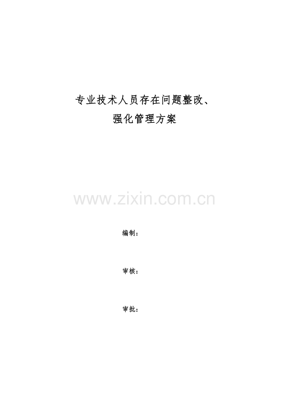 专业技术人员存在问题整改、强化管理方案.docx_第1页