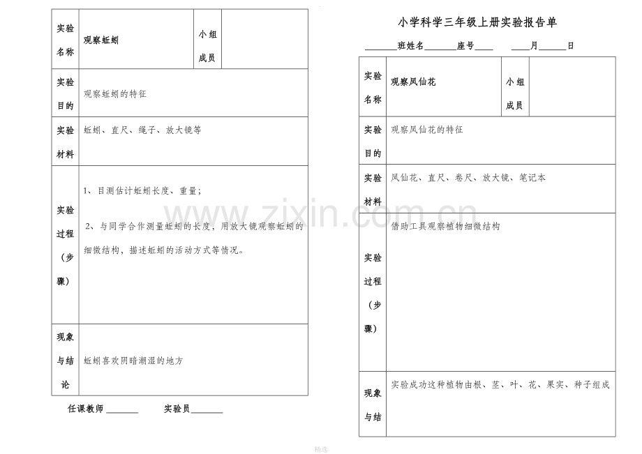 冀教版小学科学三年级上册实验报告单.doc_第3页