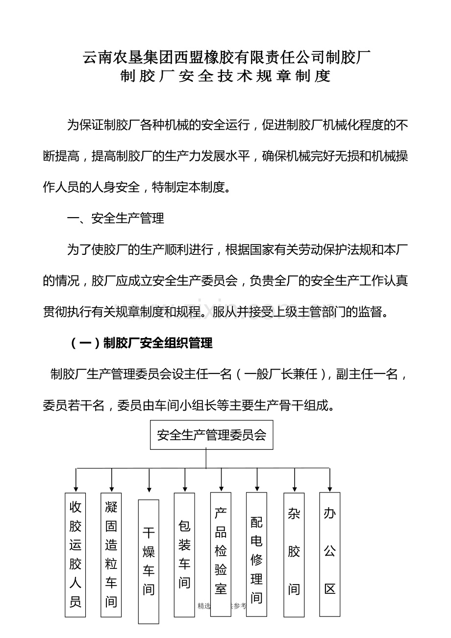 制胶厂安全技术规章制度.doc_第1页