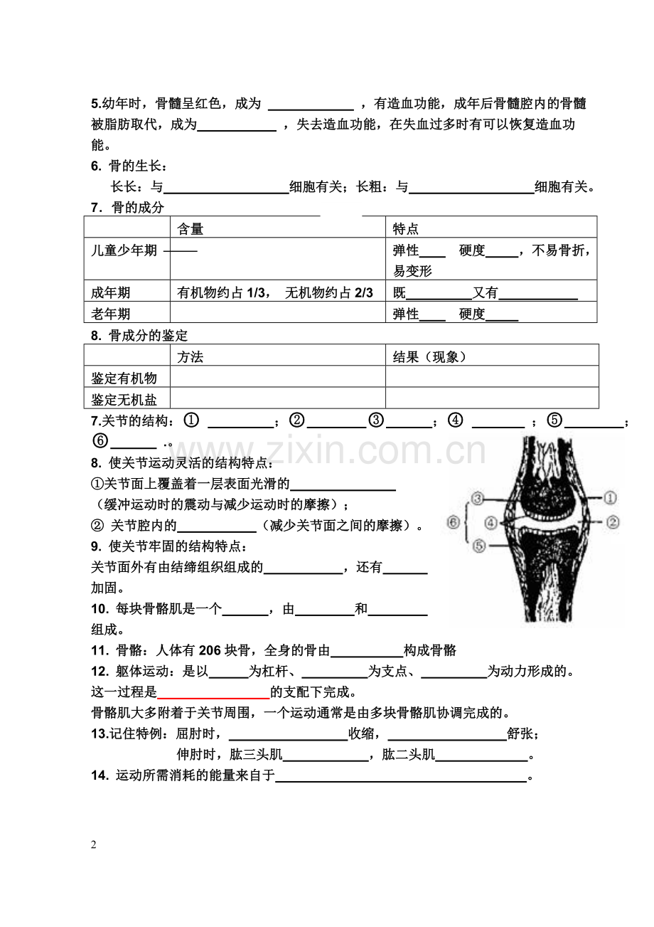 北师大版八年级生物上册填空式复习提纲.doc_第2页