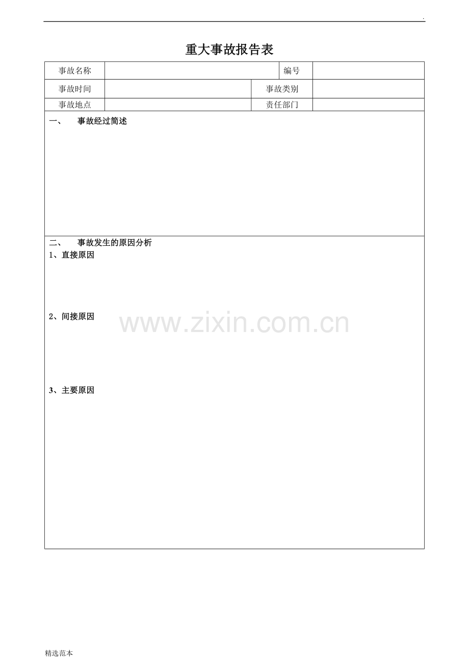 重大事故报告表.doc_第1页