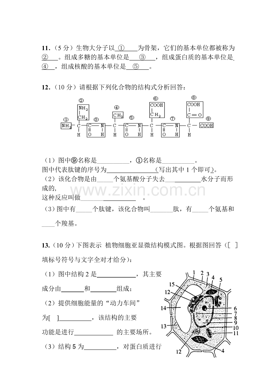 广东省汕尾市2015-2016学年高一生物上册期中考试题.doc_第3页